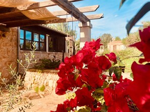 Detall de l'exterior