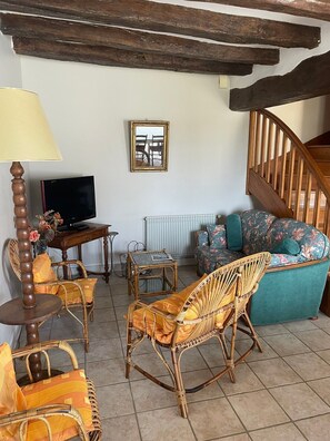 TV, stereo - Gîte de dino – 10 guests (Saint-Patrice)