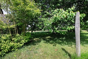 Une zone herbeuse avec des arbres et un poteau en bois.