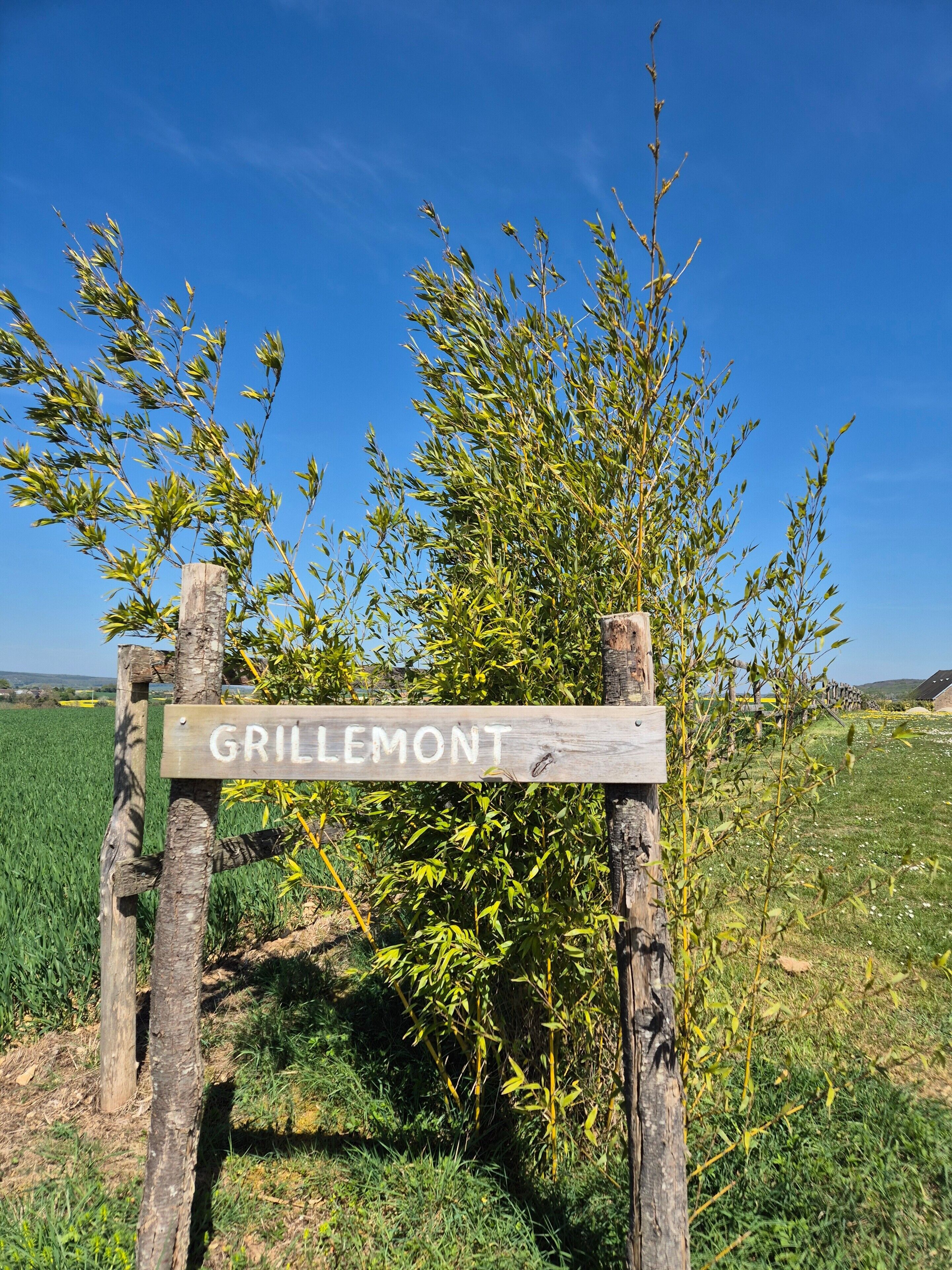 Un cartel de madera con la palabra 'GRILLEMONT', rodeado de follaje y un cielo azul despejado.