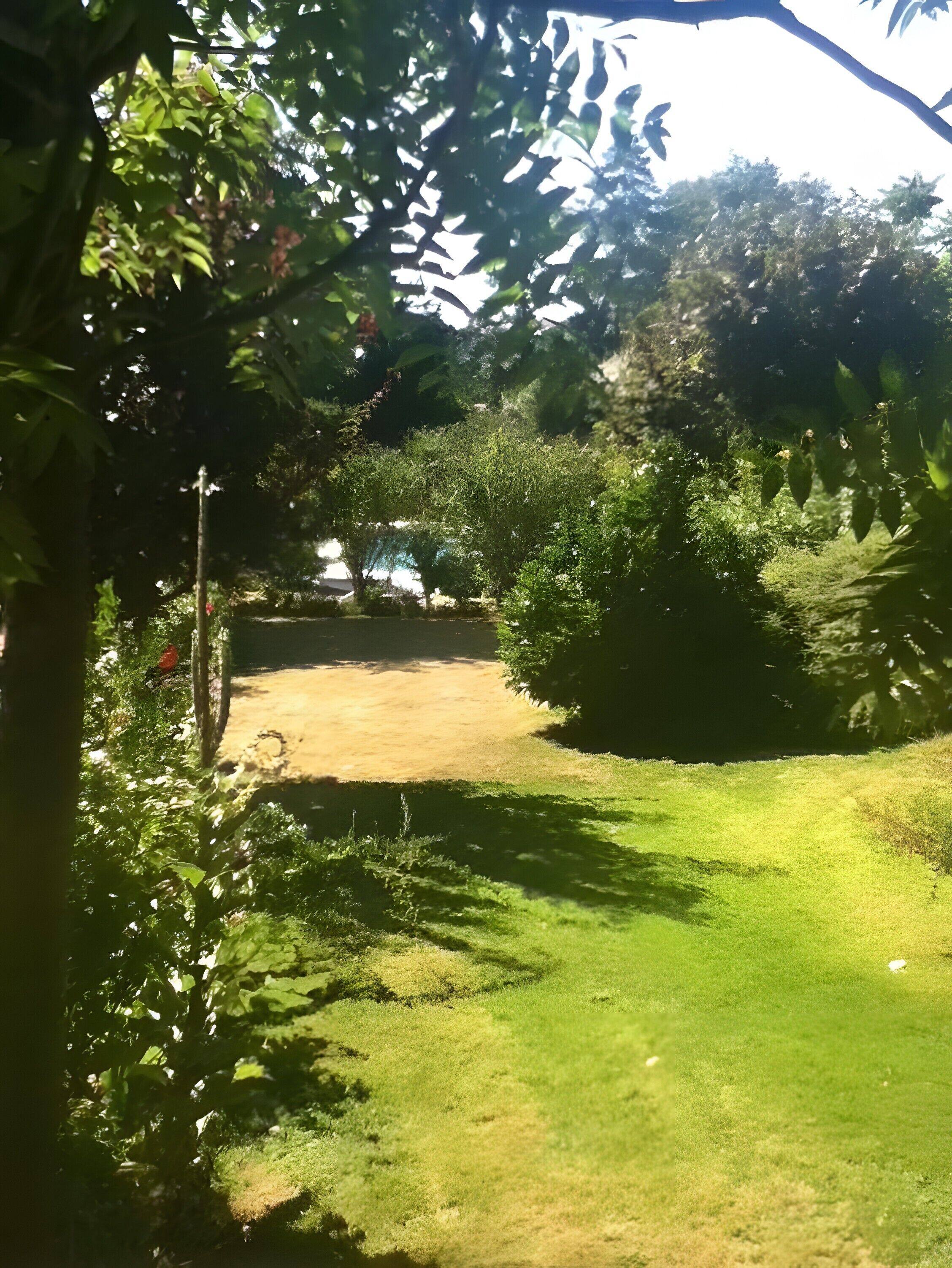 Un jardin avec une pelouse, des arbres et un sentier.
