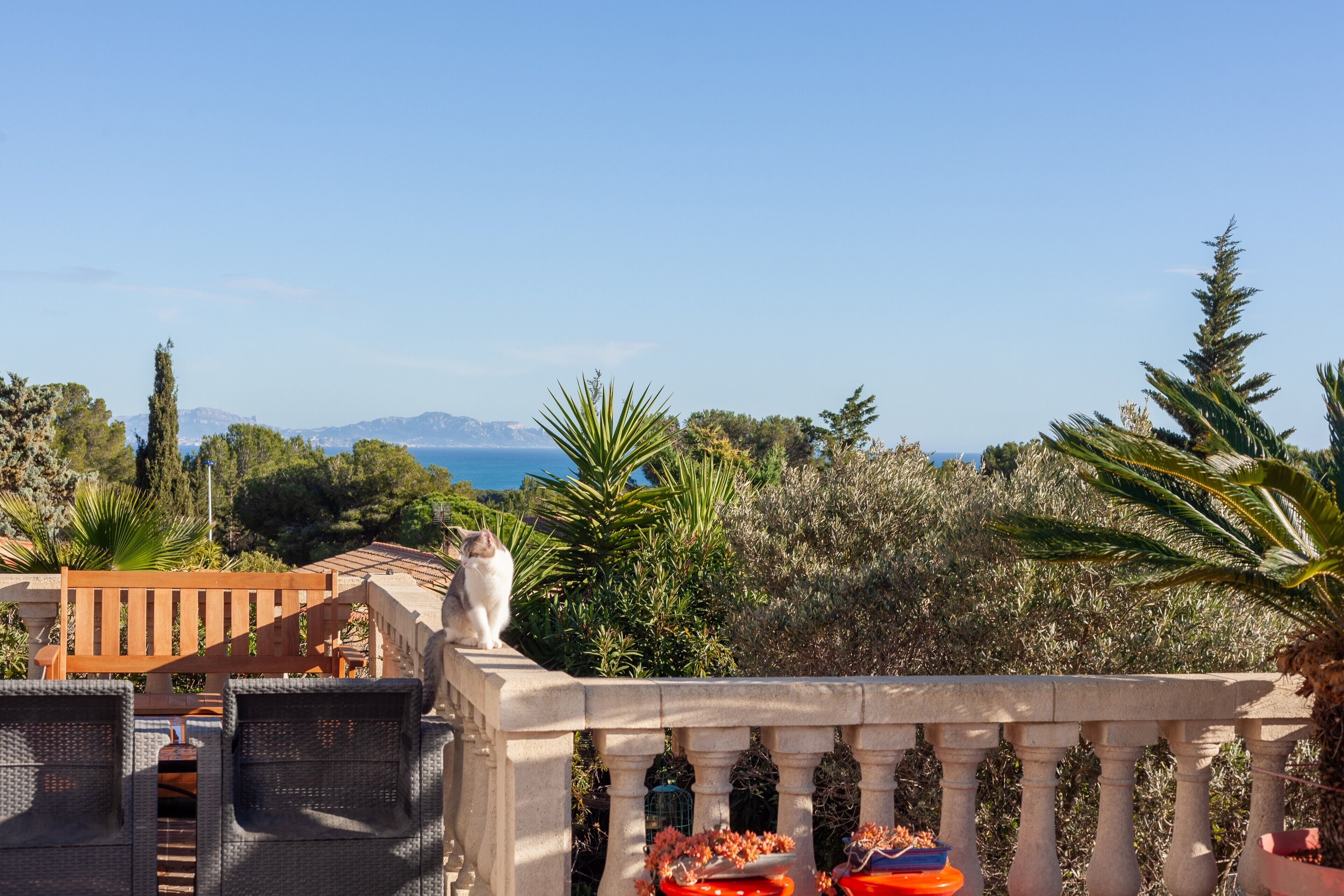 Área da propriedade