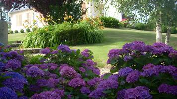 Terrein van de accommodatie