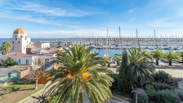 Un port de plaisance avec des bateaux, un bâtiment surmonté d’un dôme et des palmiers.