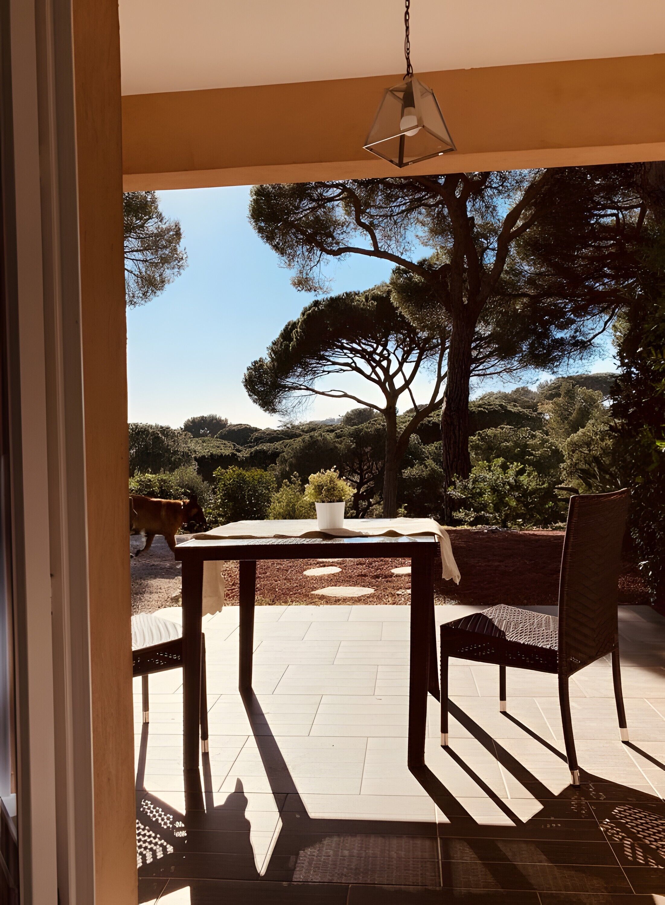 Udendørs spisemuligheder