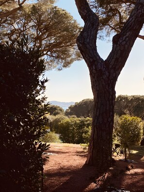 Àrea exterior de l'allotjament