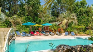 A pool with lounge chairs and umbrellas, surrounded by lush greenery.