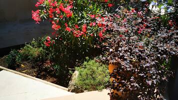 DĂ©tail de lâextĂ©rieur