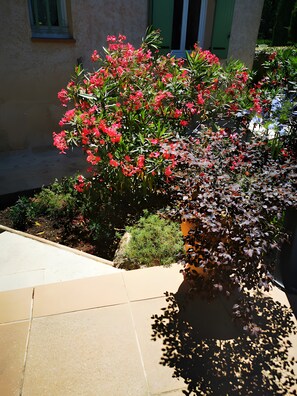 Exterior detail - Chrisama Guest Room with Shared Pool, Wi-Fi, and Air Conditioning (Flayosc)