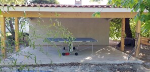 Terrace/patio - Spacious House in the Heart of Médoc Between Estuary and Ocean (Bégadan)