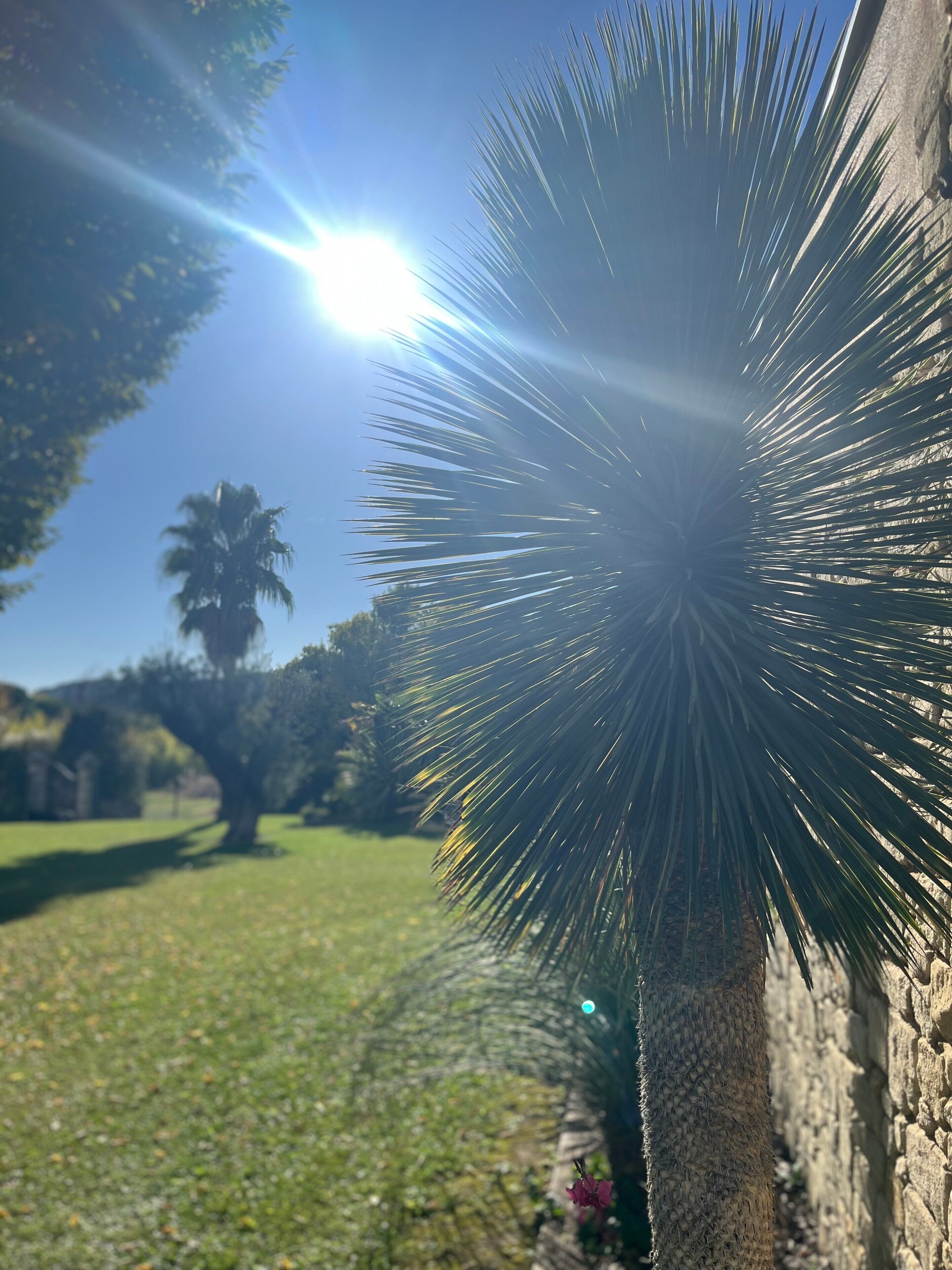 Parco della struttura