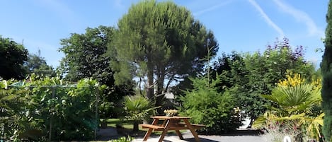 Restauration en plein air