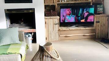 TV, fireplace, video games, DVD player