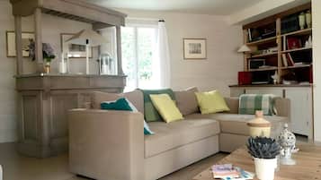 TV, fireplace, video games, DVD player