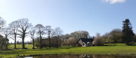 A house by a pond with trees and a clear sky.