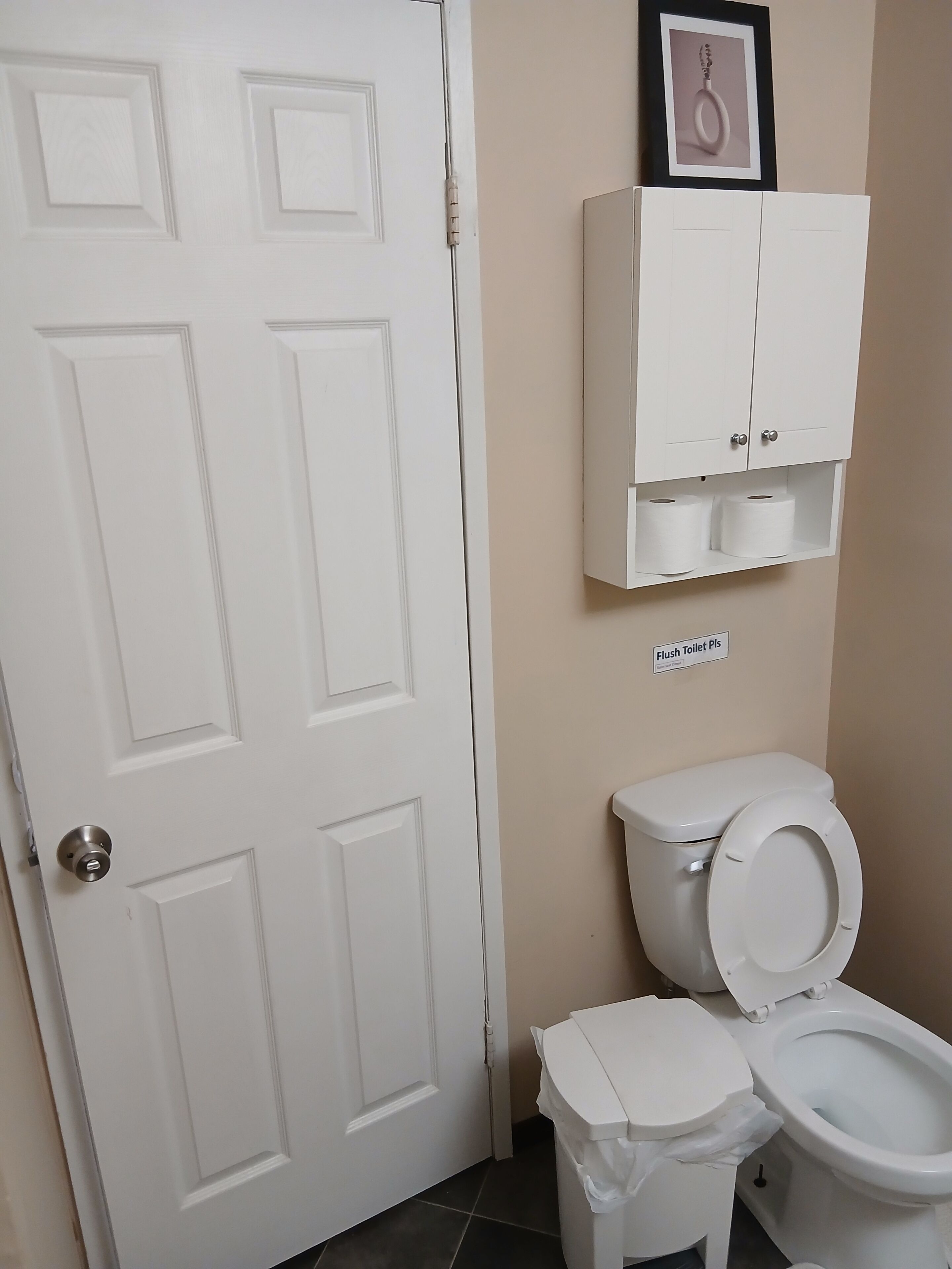 A bathroom with a white door, a toilet with a trash bin, a cabinet with toilet paper, and a sign that says "Flush Toilet Pls".