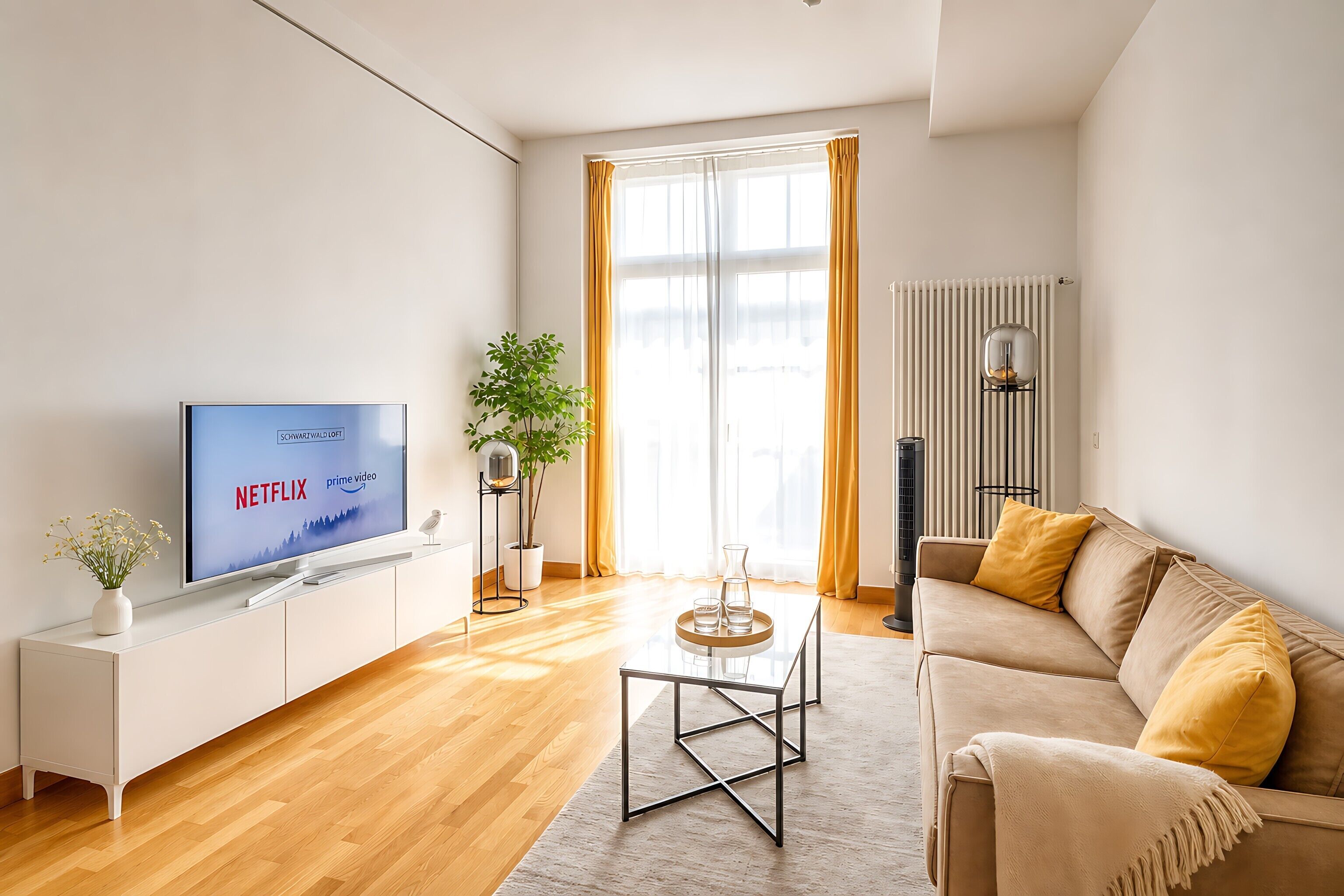 TV