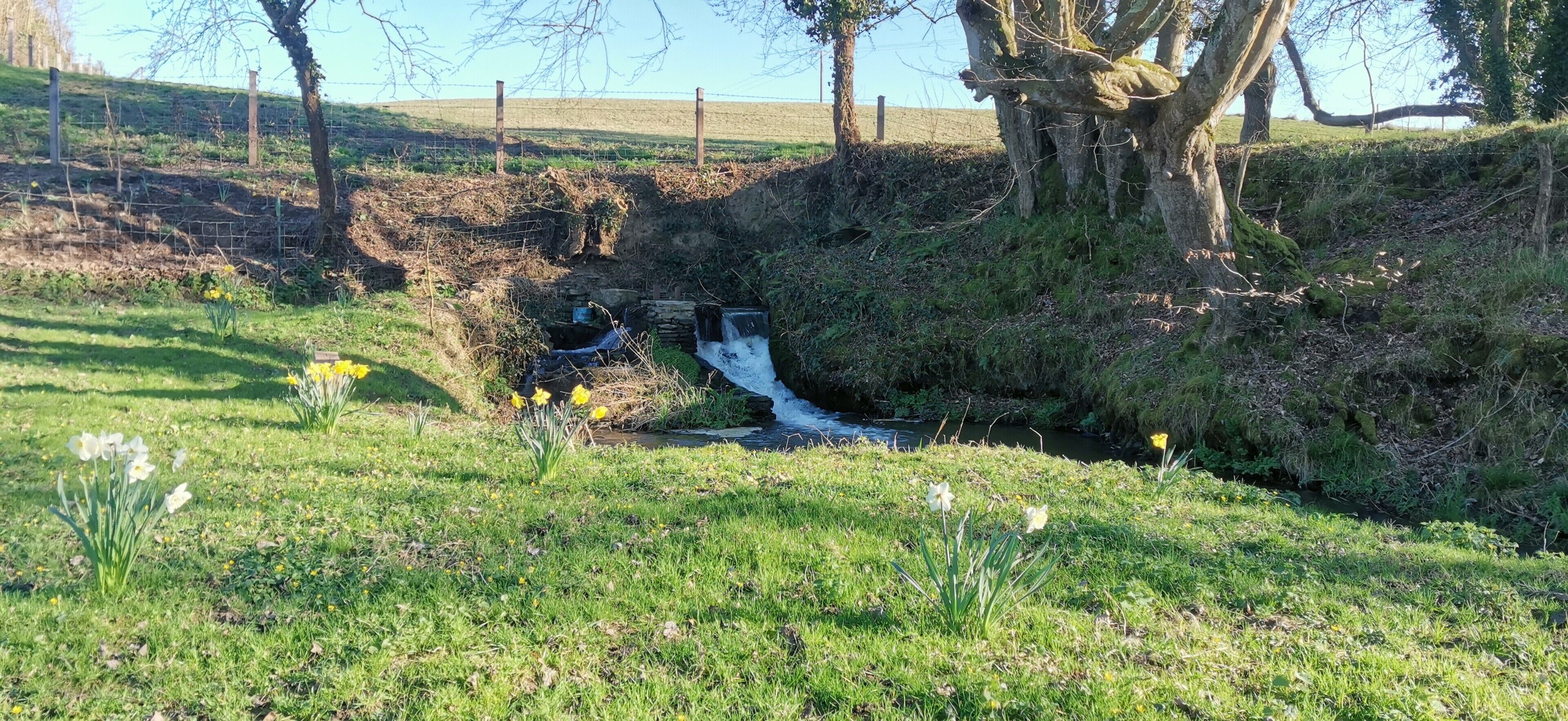 Overnatningsstedets område