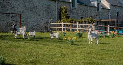 Maison de vacances « Gßte Les Normandes » avec Wi-Fi