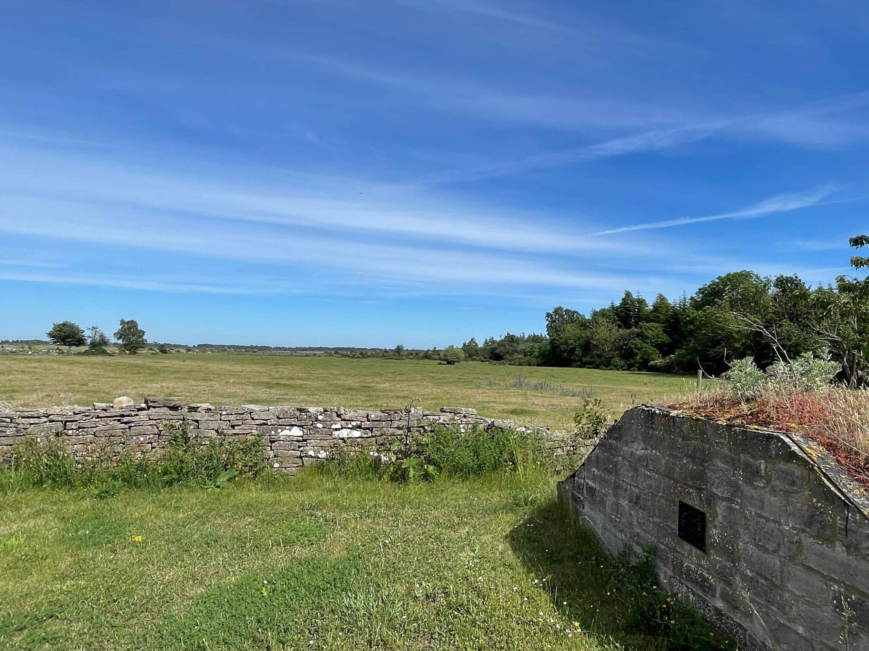 A stone wall in a grassy field with trees in the background.
