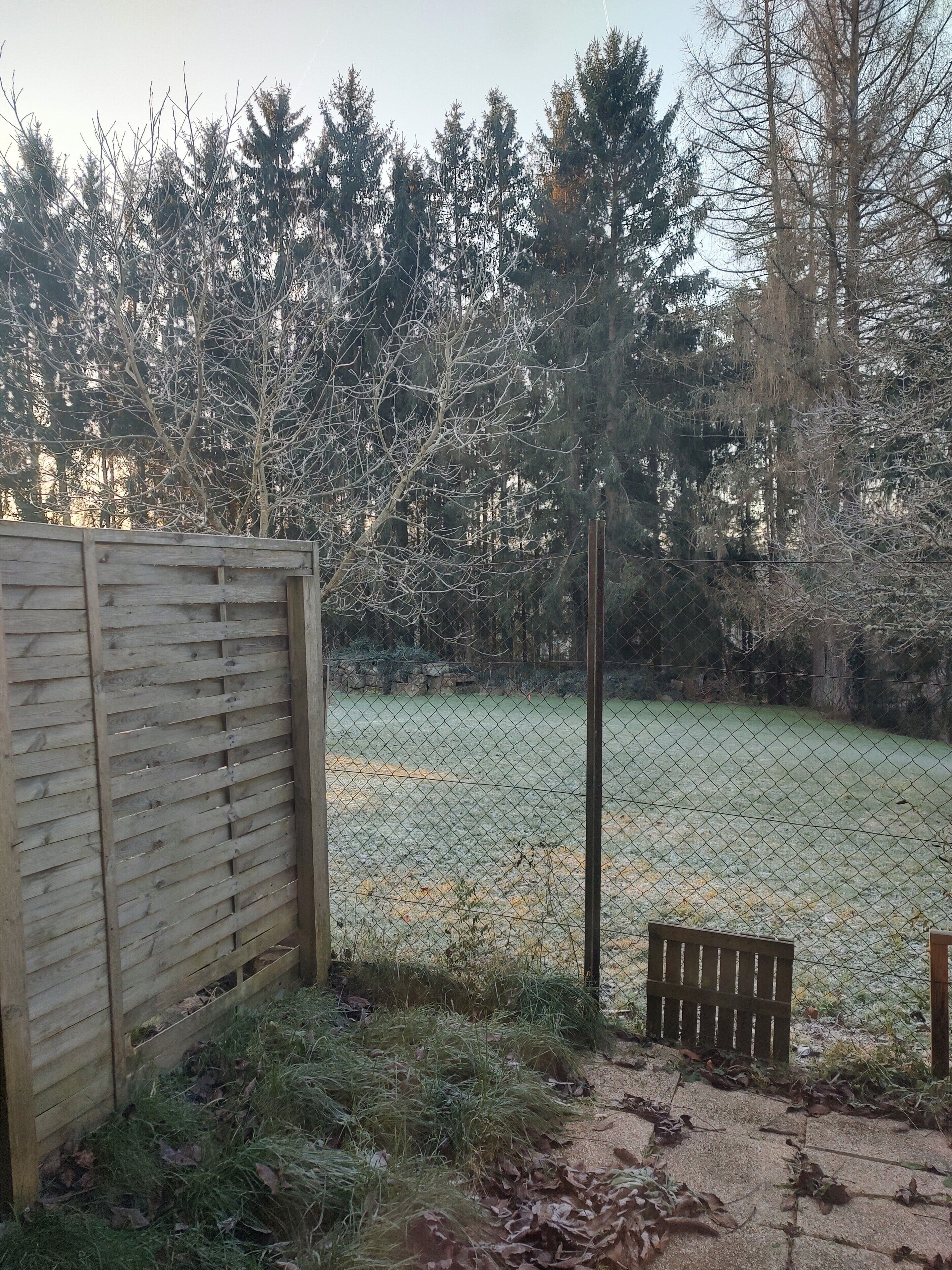 Áreas de la propiedad