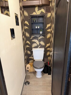 Regadera, toallas, papel de baño