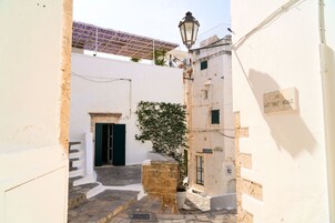 A narrow street with a stone staircase leading to a building entrance, a potted plant, and a street lamp.
