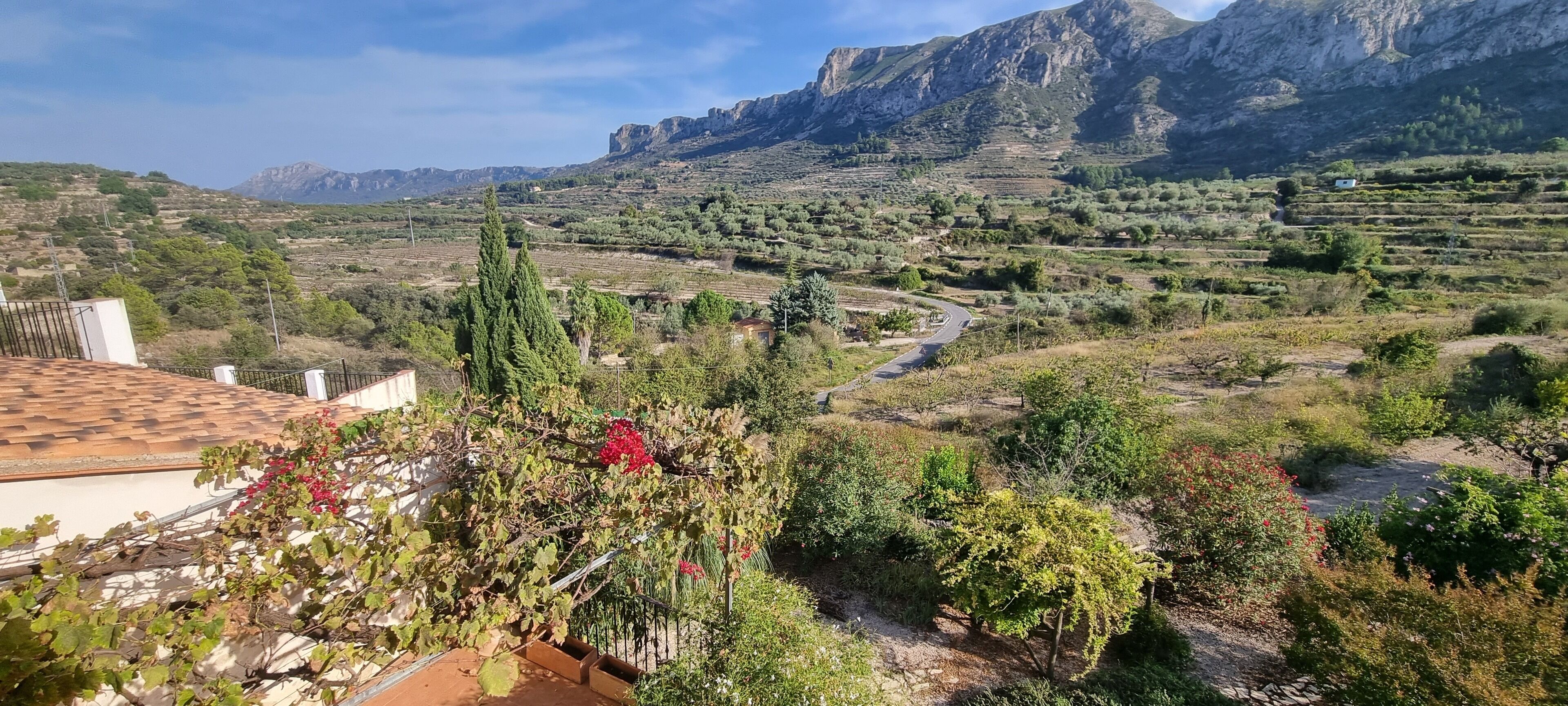 Un paisaje montañoso con campos escalonados y un camino sinuoso.