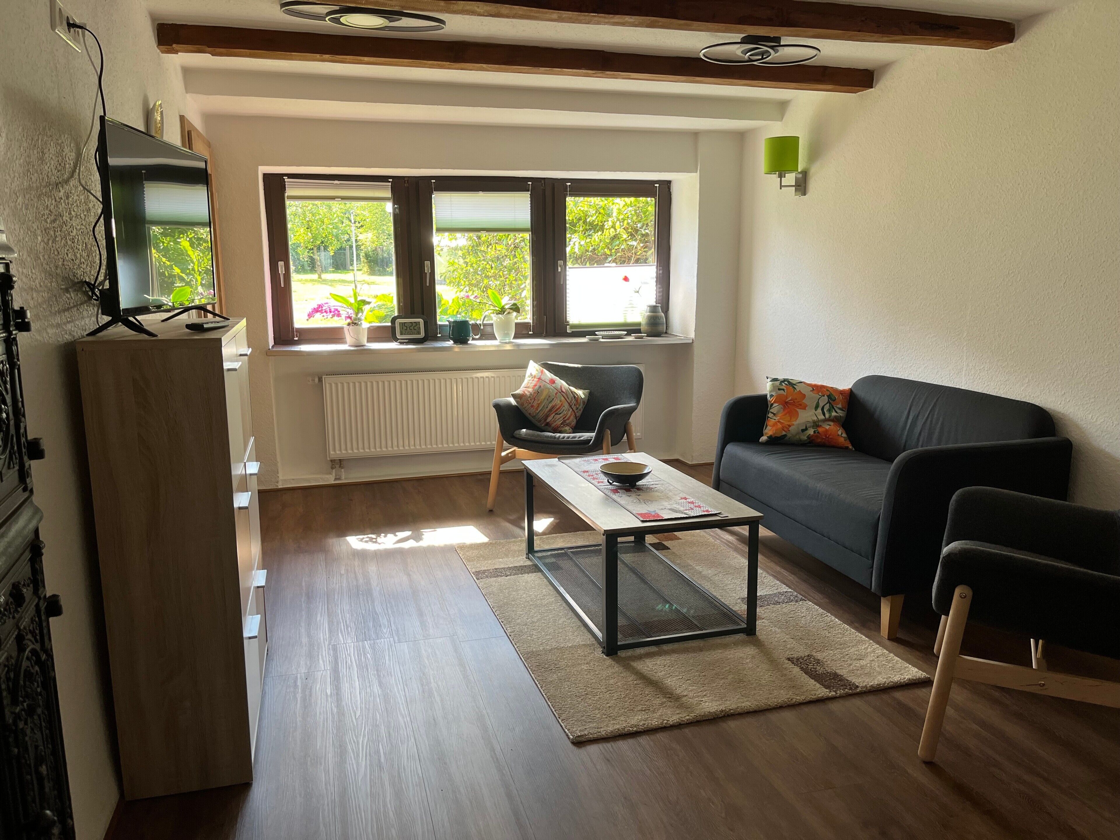 Fernseher, Stereoanlage