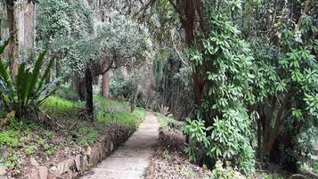 Overnatningsstedets område