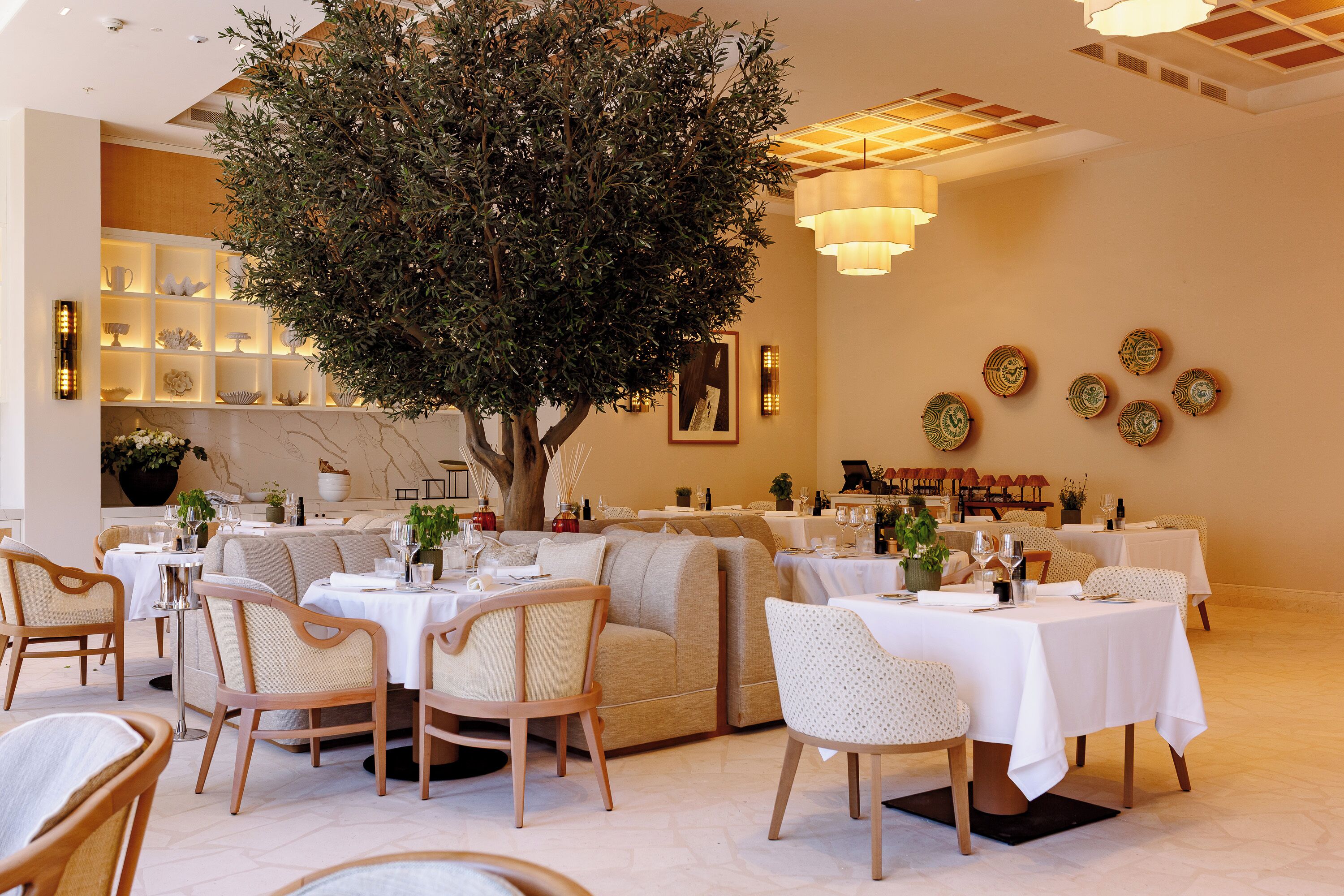 A restaurant interior with round tables, chairs, and a large tree centerpiece.
