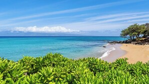 Ein Strand mit klarem, blauem Wasser, sandigem Ufer und dichter, grüner Vegetation im Vordergrund.
