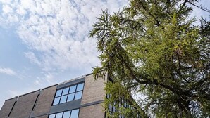 A multi-story building with large windows and a tree in the foreground. - Student Only Space St.Andrews (St. Andrews)