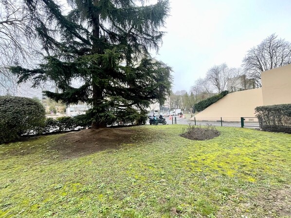 Un espacio cubierto de césped con un gran árbol de hoja perenne, un sendero pavimentado y un edificio al fondo.