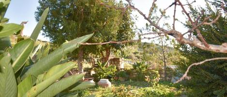 House | 3 bedrooms, Internet
