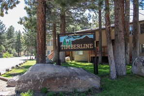 公寓客房, 2 間臥室 | 住宿地面