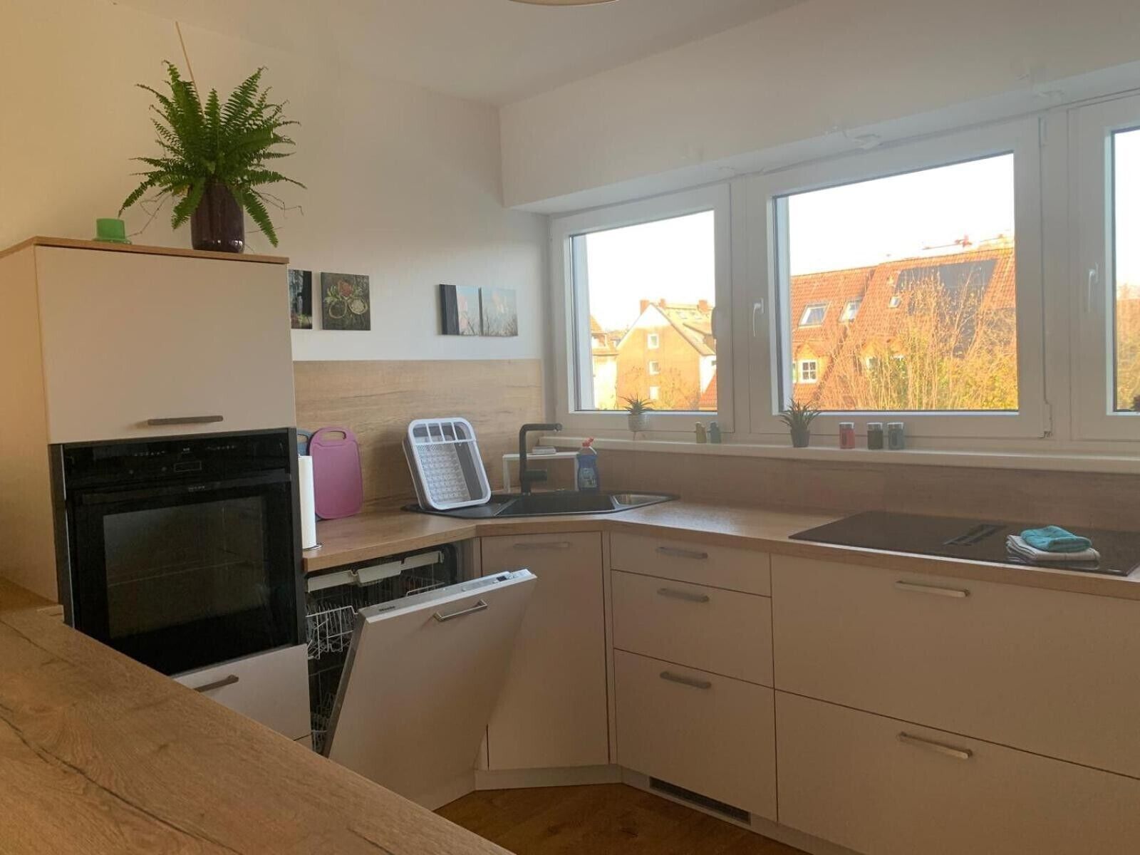 Kühlschrank, Ofen, Herdplatte, Geschirrspüler