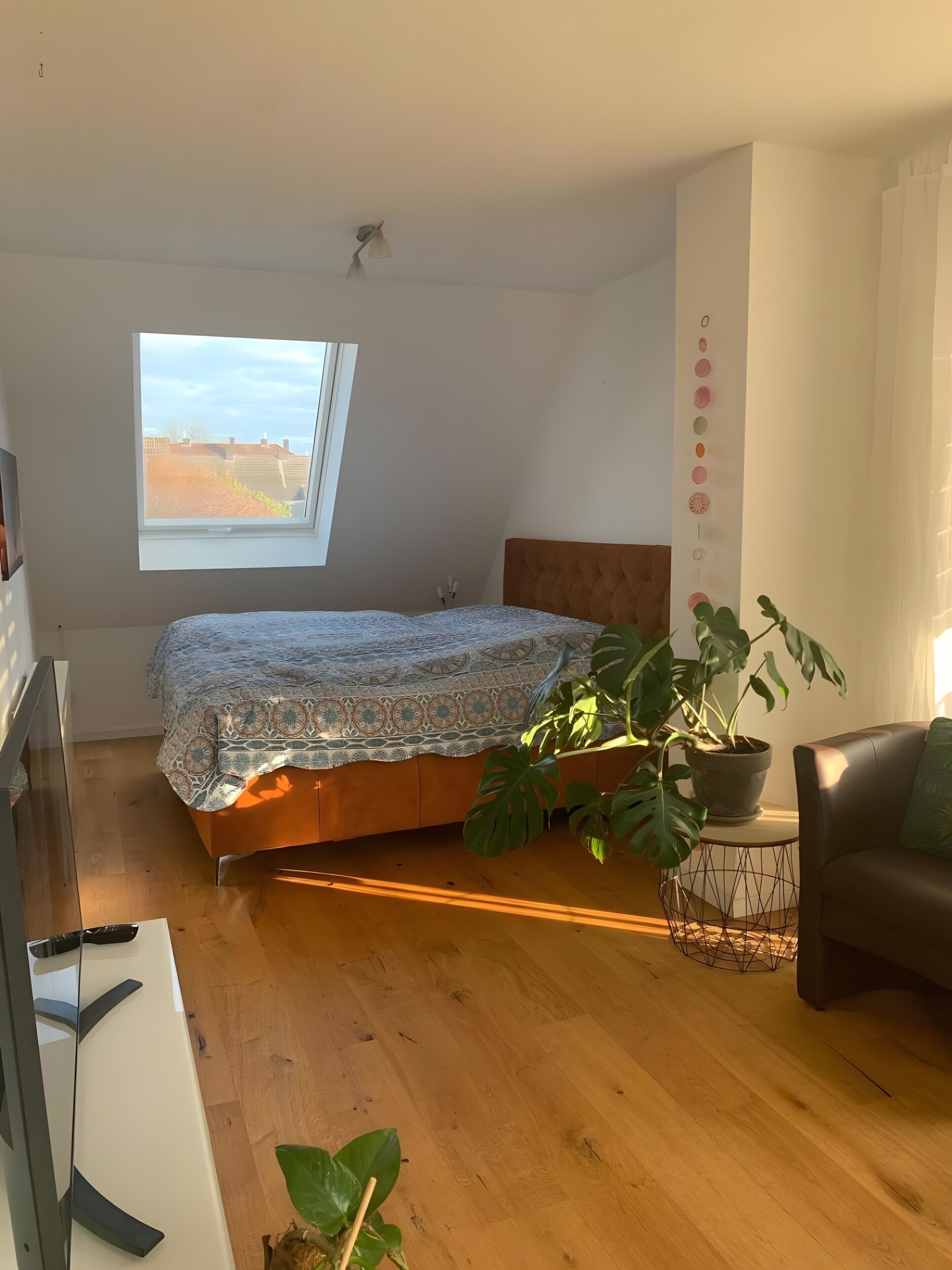 Un dormitorio con cama, ventana, planta en maceta, sofá y una mesita.