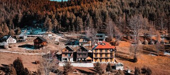 The Emperor of the Forest