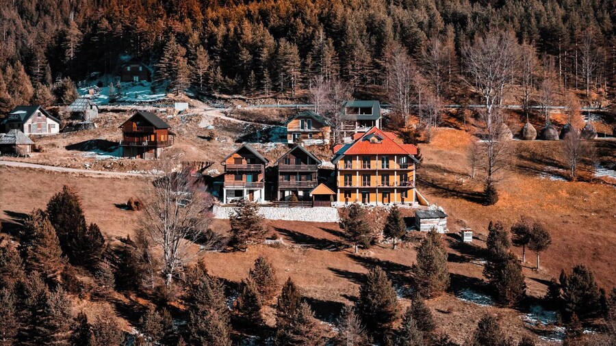 The Emperor of the Forest