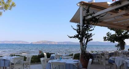 Vassia Holiday Home's