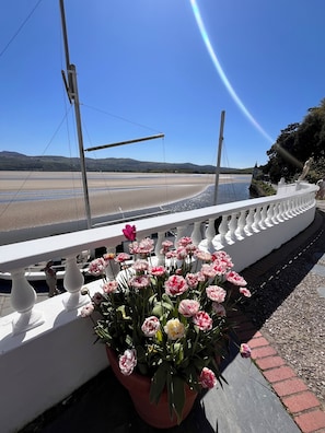 A balcony with a railing, a potted plant with flowers, and a view of a beach and hills.