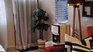 Una sala de estar con un dispensador de agua grande, una planta en maceta y un sofá a rayas.
