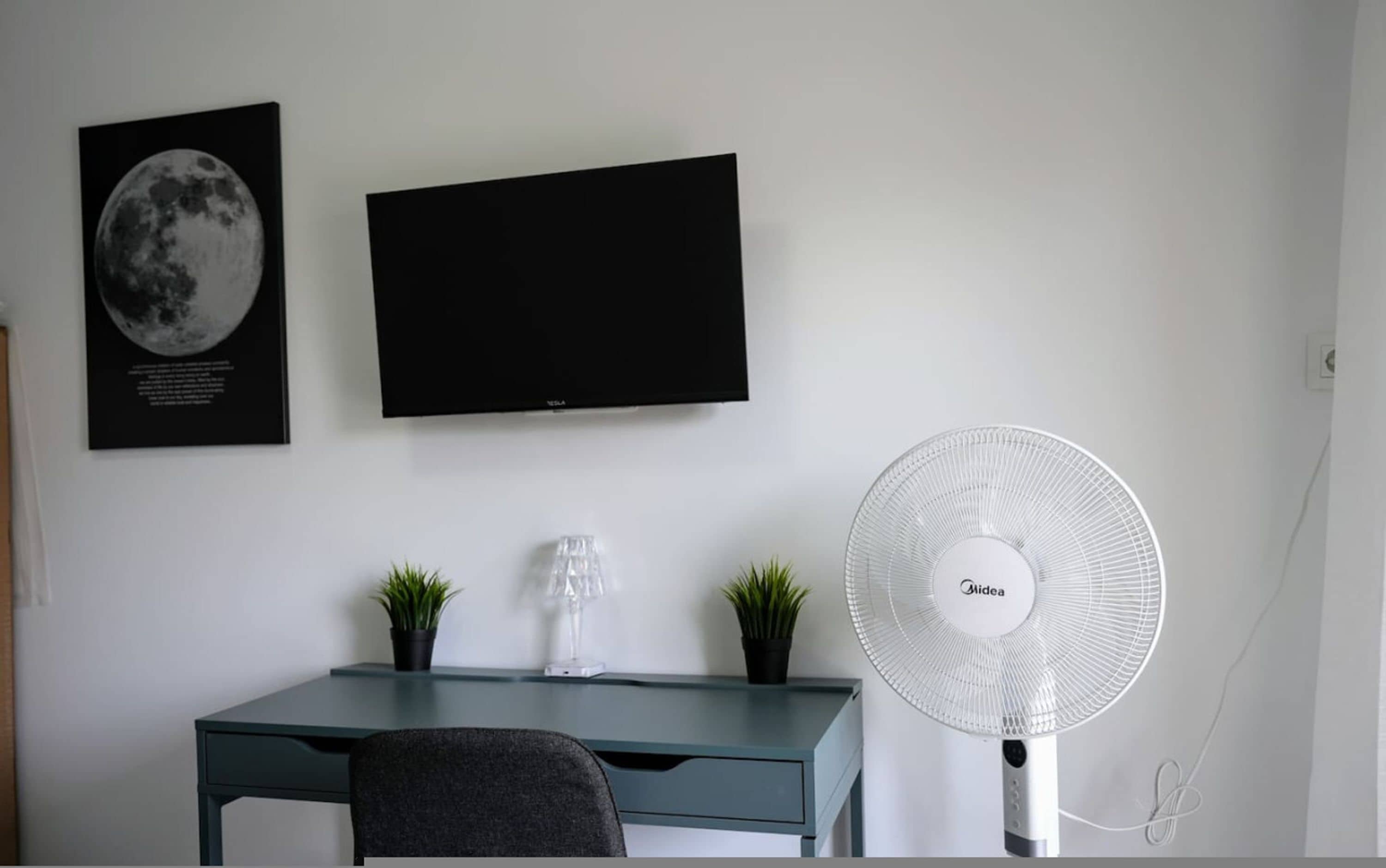 Un bureau avec un téléviseur à écran plat, un ventilateur sur pied et deux plantes en pot.