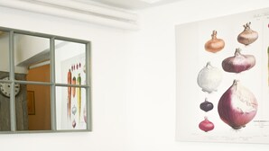 A living room with a gray sofa, a yellow patterned pillow, and a wall-mounted botanical illustration. - The Extravagant Studio in Pagkrati Near Stadium (Athens)