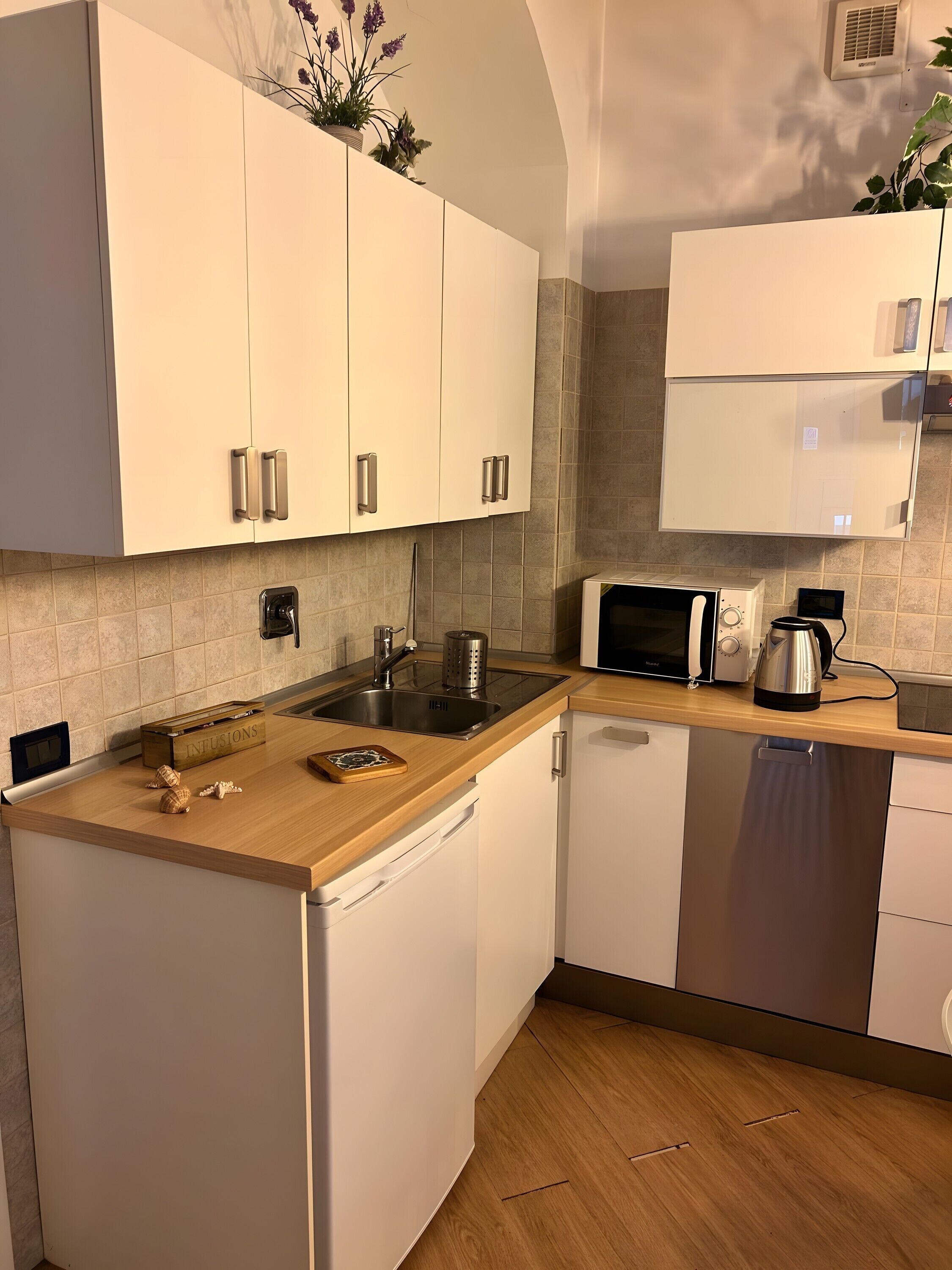 Kühlschrank, Mikrowelle, Herdplatte, Geschirrspüler