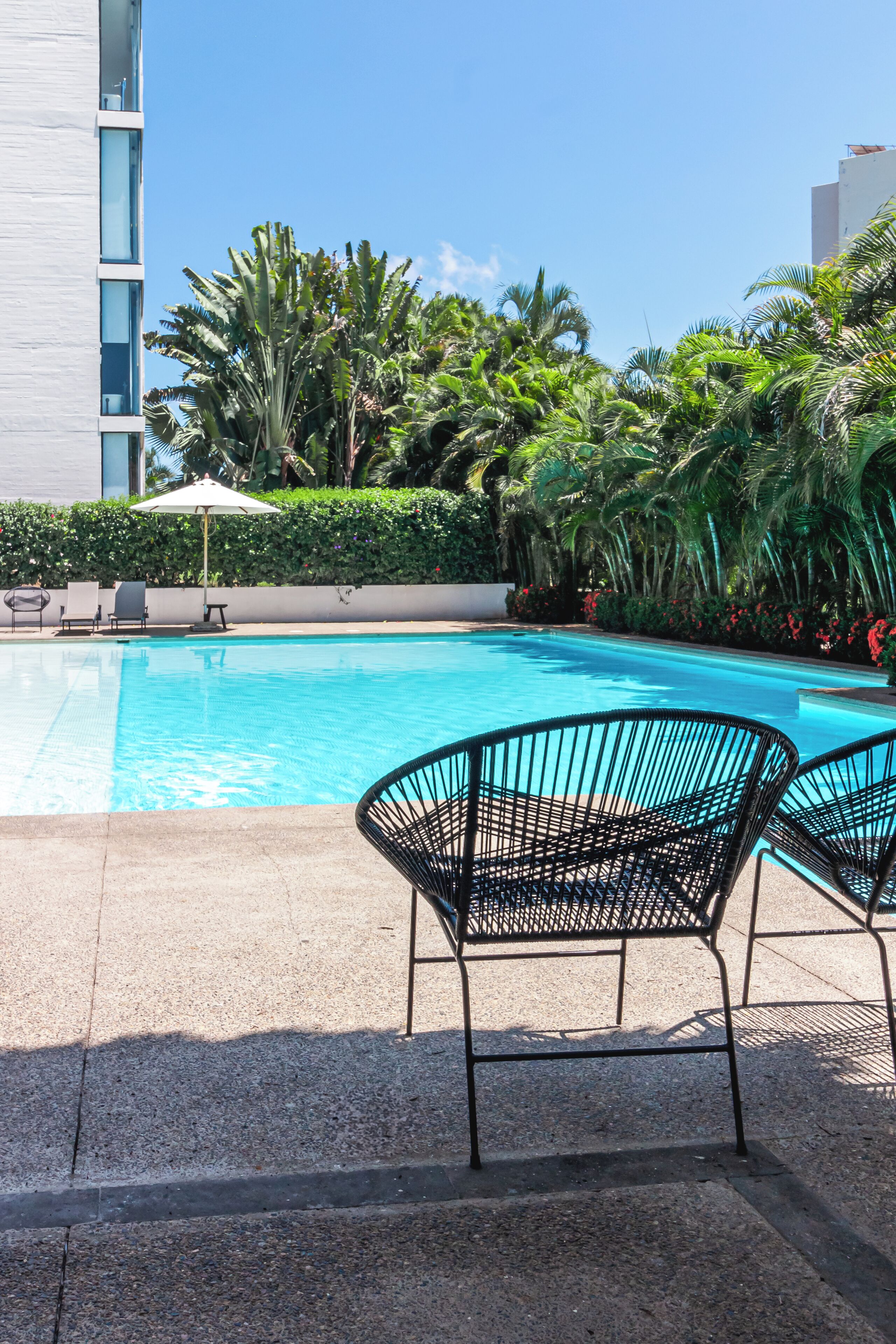 A swimming pool with lounge chairs and a palm tree backdrop.