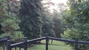 Una terraza de madera con barandilla negra que da a un césped con árboles.