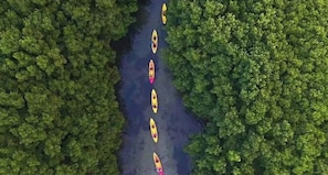 Une rivière où l’on peut faire du kayak, avec des kayaks alignés sur la berge.