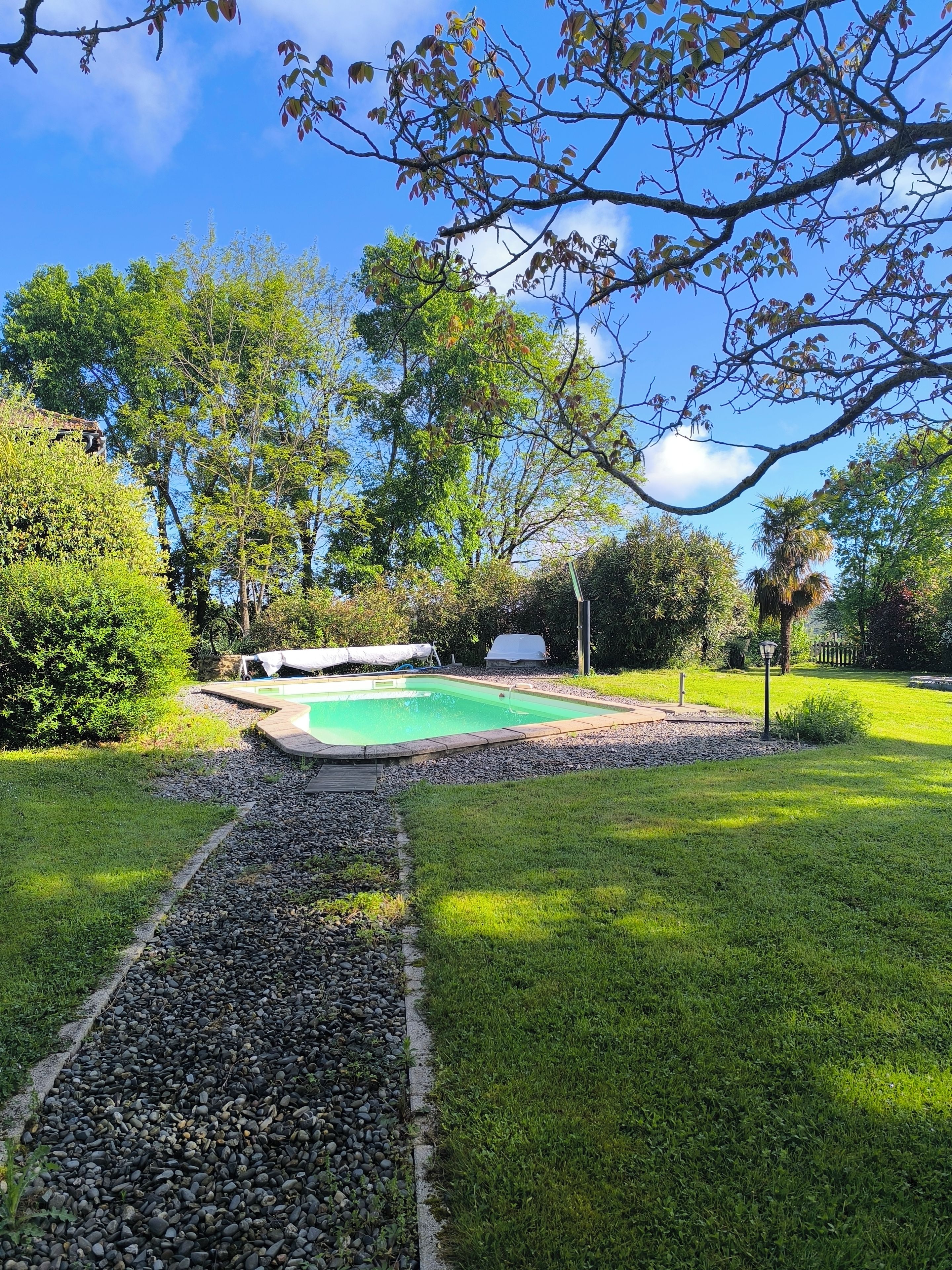 Un giardino con piscina, circondato da un prato curato e diversi alberi.